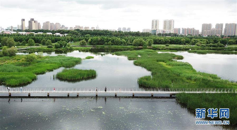 （走向我們的小康生活·圖文互動(dòng)）（1）水清、地綠、空氣新——最北省份黑龍江繪就生態(tài)治理新畫卷