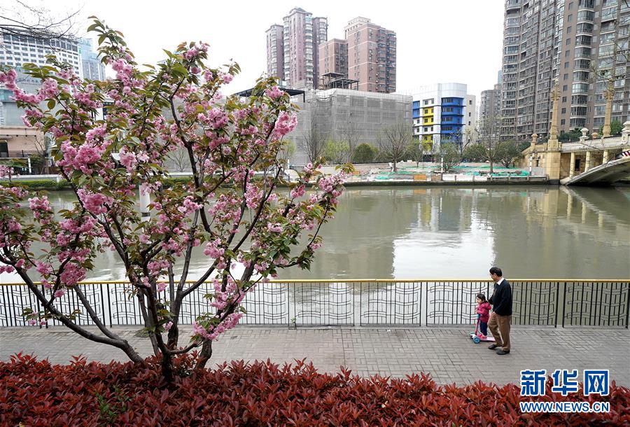 （新華全媒頭條·走向我們的小康生活·圖文互動）（12）城市，讓人民生活更美好