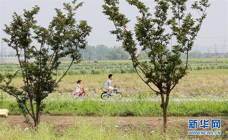 （新華全媒頭條·走向我們的小康生活·圖文互動）（14）城市，讓人民生活更美好