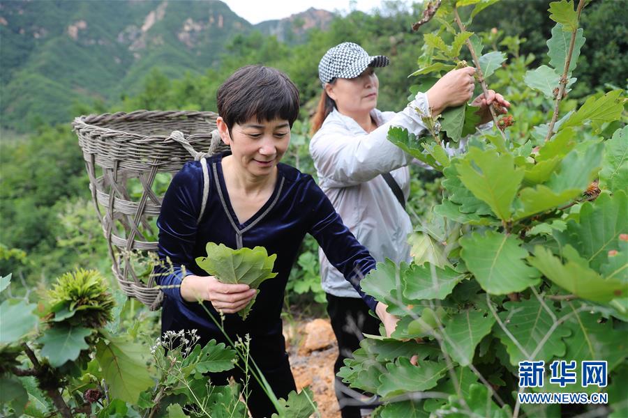 （新華全媒頭條·走向我們的小康生活·圖文互動）（7）長城腳下，小康村串成“珍珠鏈”