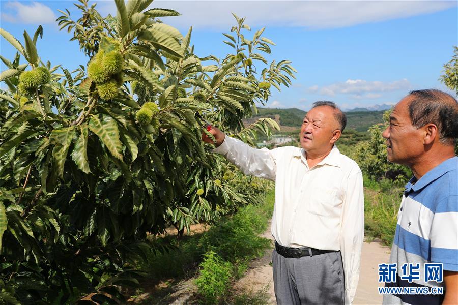 （新華全媒頭條·走向我們的小康生活·圖文互動）（11）長城腳下，小康村串成“珍珠鏈”