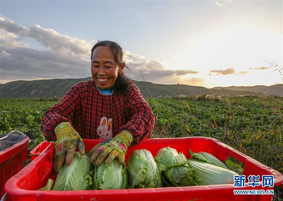 （新華全媒頭條·決戰(zhàn)決勝脫貧攻堅·督戰(zhàn)未摘帽貧困縣·圖文互動）（1）不獲全勝，決不收兵——全國52個掛牌督戰(zhàn)貧困縣脫貧攻堅紀實