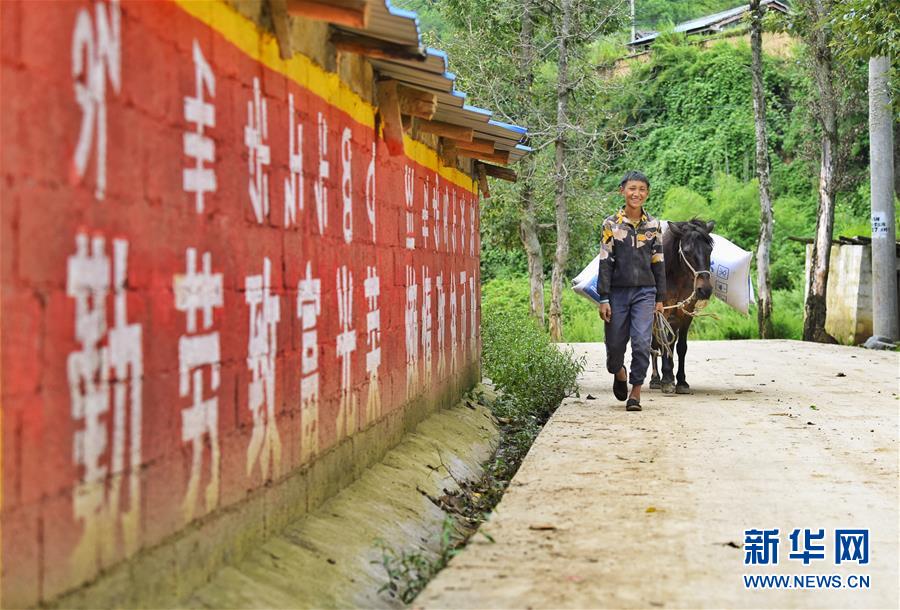 （新華全媒頭條·決戰(zhàn)決勝脫貧攻堅(jiān)·督戰(zhàn)未摘帽貧困縣·圖文互動）（6）苦蕎花開大涼山——四川7個未摘帽縣脫貧攻堅(jiān)一線觀察