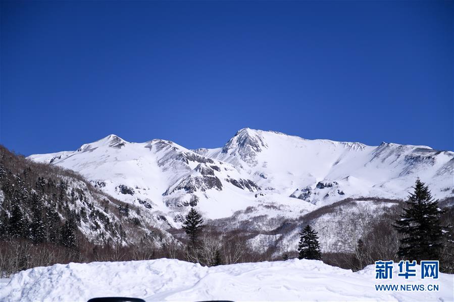 （圖文互動(dòng)）（6）長(zhǎng)白山60年書寫“生態(tài)答卷”