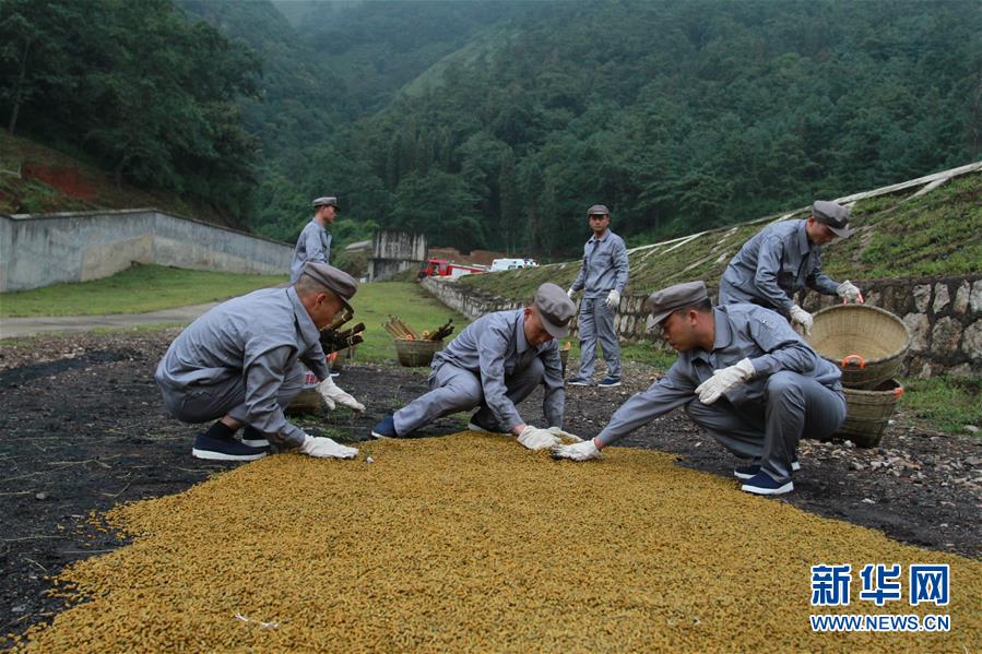 （在習(xí)近平強(qiáng)軍思想指引下·我們在戰(zhàn)位報(bào)告·圖文互動）（3）牢記統(tǒng)帥囑托  做刀尖上的舞者——記聯(lián)勤保障部隊(duì)某報(bào)廢武器彈藥銷毀站參謀長陳雪禮