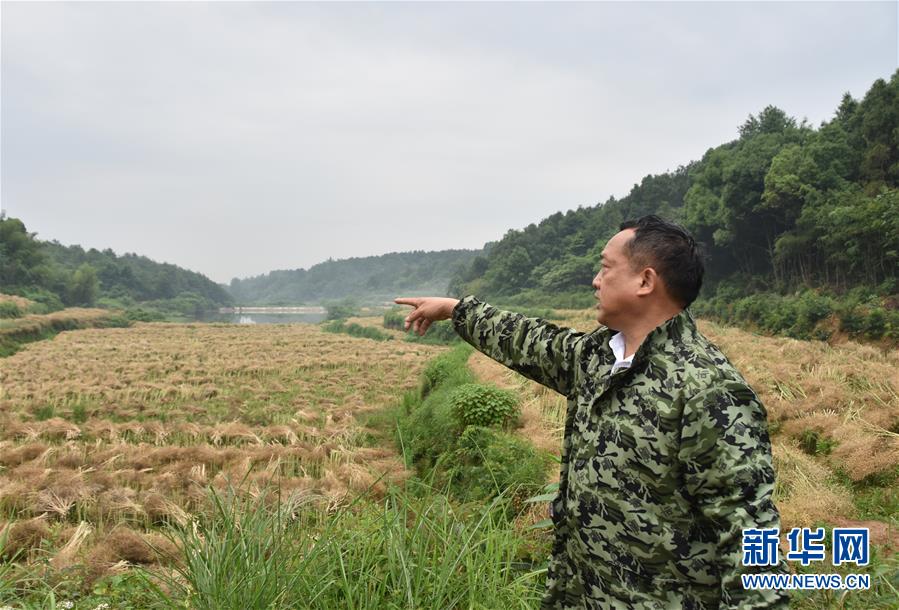 （代表委員履職·圖文互動(dòng)）（2）“我是農(nóng)民代表，始終關(guān)注農(nóng)村”——全國人大代表沈昌健的履職故事