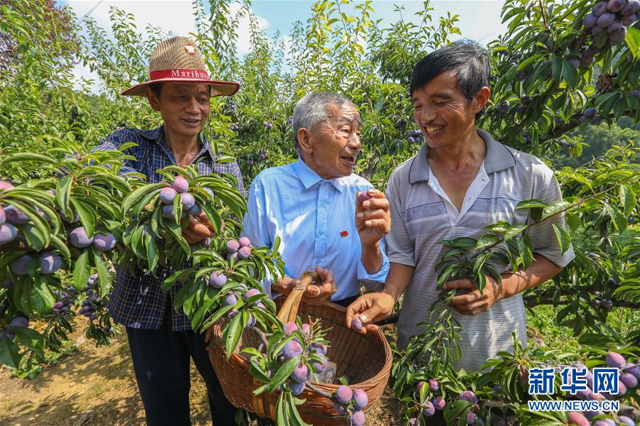 （新華全媒頭條·圖文互動）（1）凝聚民族復(fù)興的精神偉力——以習(xí)近平同志為核心的黨中央重視思想道德建設(shè)關(guān)心關(guān)愛道德模范紀(jì)實(shí)