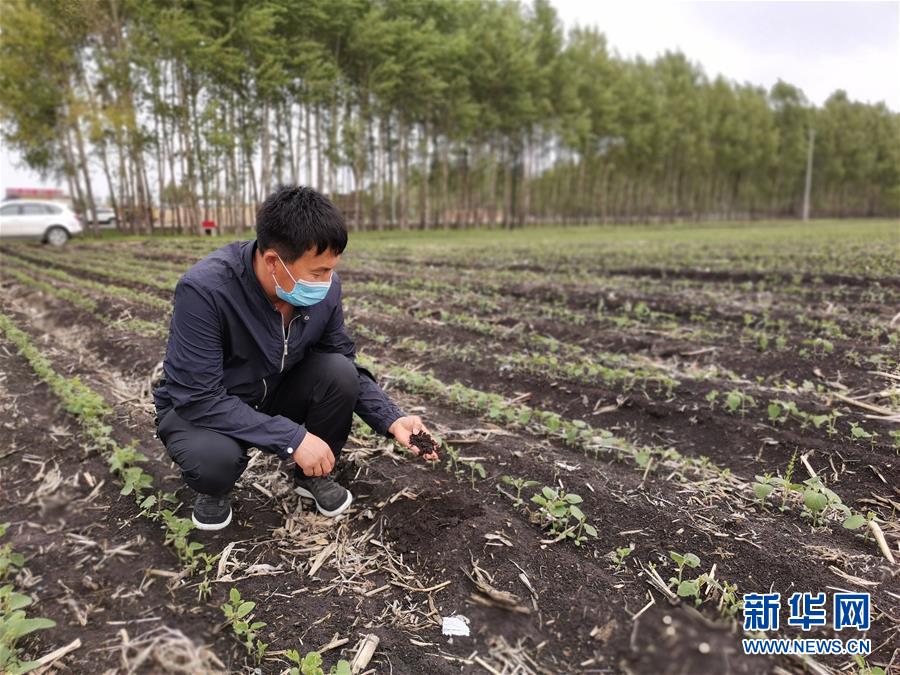 （在習(xí)近平新時代中國特色社會主義思想指引下——新時代新作為新篇章·習(xí)近平總書記關(guān)切事·圖文互動）（6）讓每一寸耕地都成為豐收的沃土——我國加強耕地保護(hù)推進(jìn)“藏糧于地”