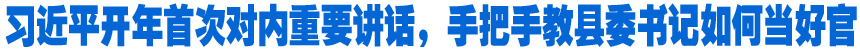 習(xí)近平開年首次對內(nèi)重要講話，手把手教縣委書記如何當(dāng)好官