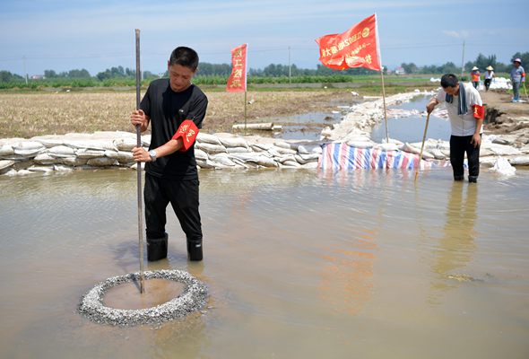 不遠千里的志愿馳援