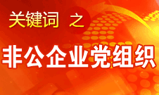 王京清：非公企業(yè)建立黨組織服務(wù)企業(yè)發(fā)展、服務(wù)員工