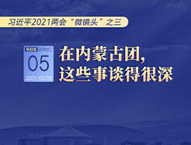 習近平2021兩會“微鏡頭”之三 3月5日 在內(nèi)蒙古團，這些事談得很深