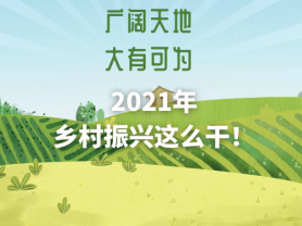 廣闊天地 大有可為 2021年鄉(xiāng)村振興這么干！