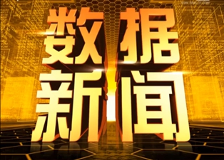 《數(shù)據(jù)新聞—— 網(wǎng)購大數(shù)據(jù)》