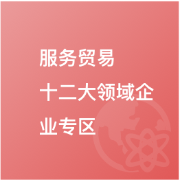 服務貿(mào)易十二大領域企業(yè)專區(qū)